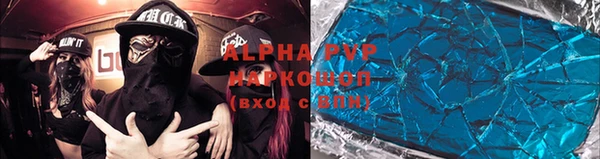 прущие грибы Навашино