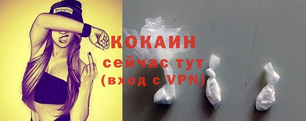 прущие грибы Навашино